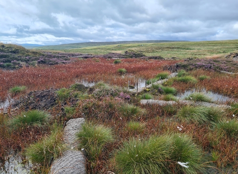 Peatland Restoration Practitioner LANTRA | Yorkshire Peat Partnership